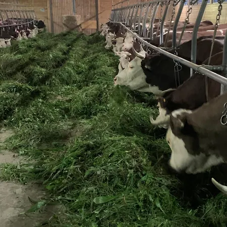 La Grange 圣马丁桥