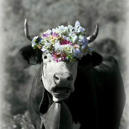 La Grange Pont-Saint-Martin