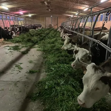 Farmház La Grange *