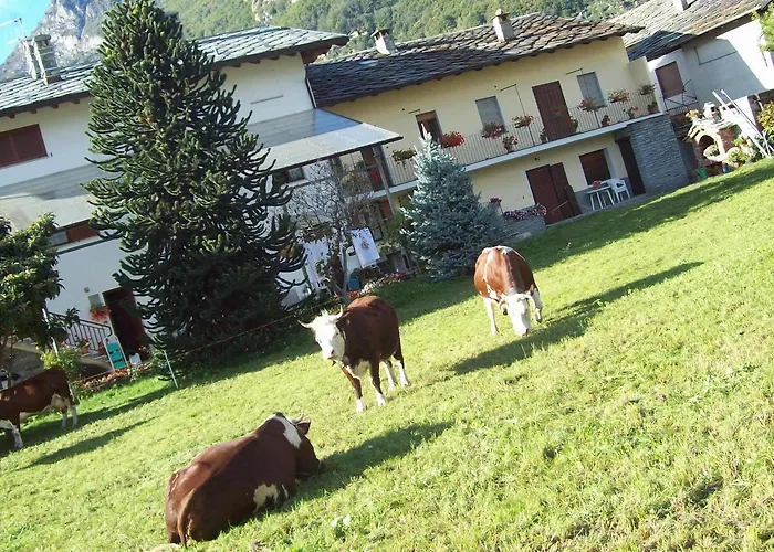 Feriegård La Grange