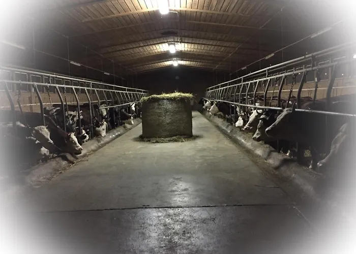 La Grange Feriegård Pont-Saint-Martin