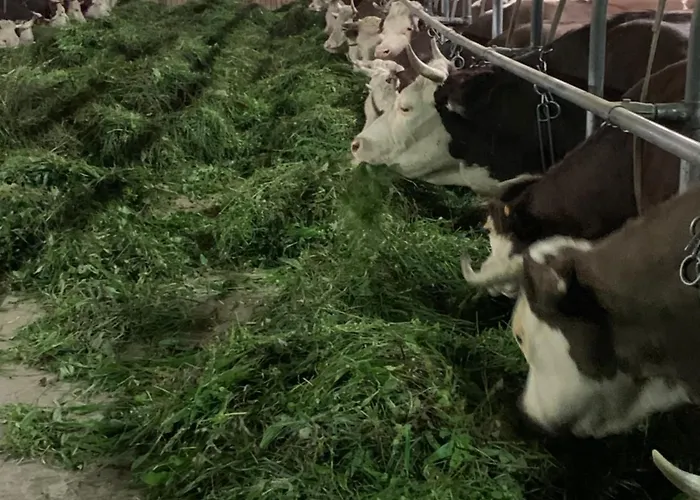 La Grange Pont-Saint-Martin