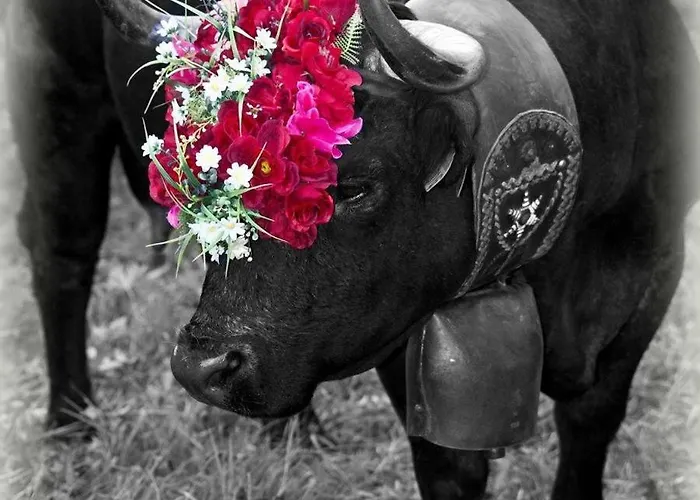 Feriegård La Grange