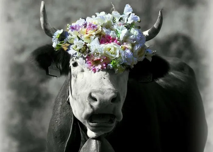 La Grange Pont-Saint-Martin