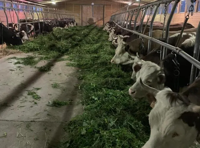 Feriegård La Grange *